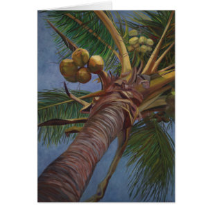 Arbre de noix de coco