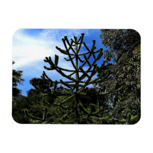 Arbre de puzzle de singe #1 Magnet