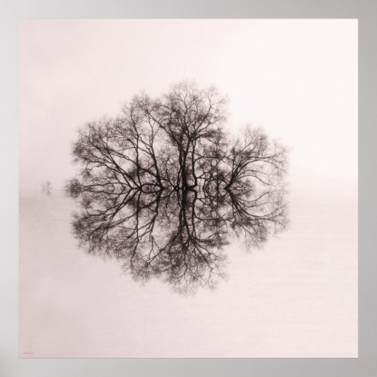 Arbre de réflexion 2 Poster d'art Imprimer (Devant)