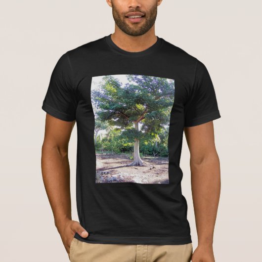 Arbre de T-shirt Sagesse (Devant)