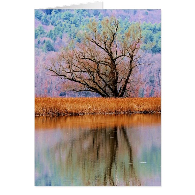 Arbre de transition (Devant)