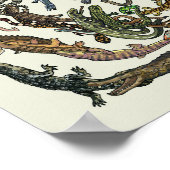 Arbre de vie - Poster de l'évolution - Couleur (Coin)