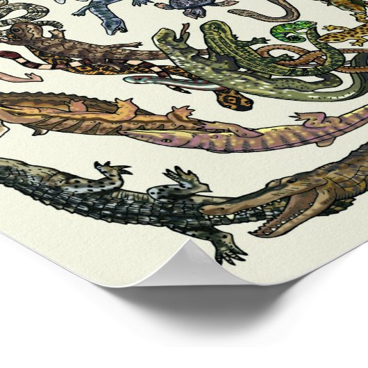 Arbre de vie - Poster de l'évolution - Couleur (Coin)