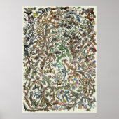 Arbre de vie - Poster de l'évolution - Couleur (Devant)