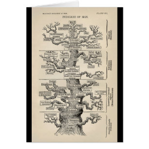 Arbre d'Ernst Haeckel le "de la vie "
