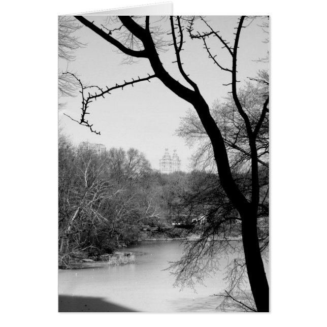 Arbre d'hiver - Central Park NYC (Devant)