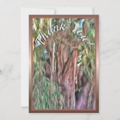 Arbre du Merci de Tule OAX1 (Devant)