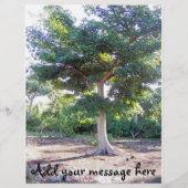 Arbre du prospectus de sagesse (Dos)