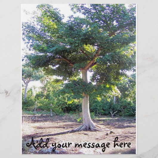 Arbre du prospectus de sagesse (Dos)