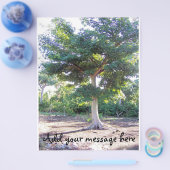 Arbre du prospectus de sagesse (Simple)