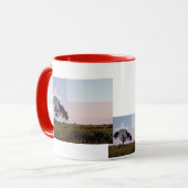 Arbre du Texas et tasse de drapeau (Devant gauche)