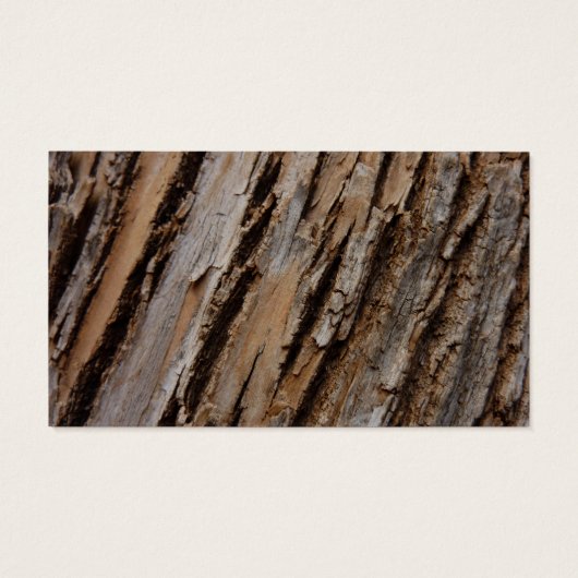 Arbre écorce I Abstrait naturel texturé (Dos)