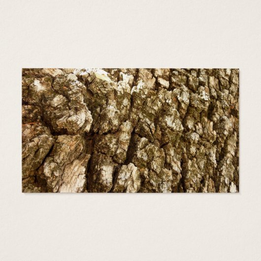 Arbre écorce II Conception texturée naturelle (Dos)