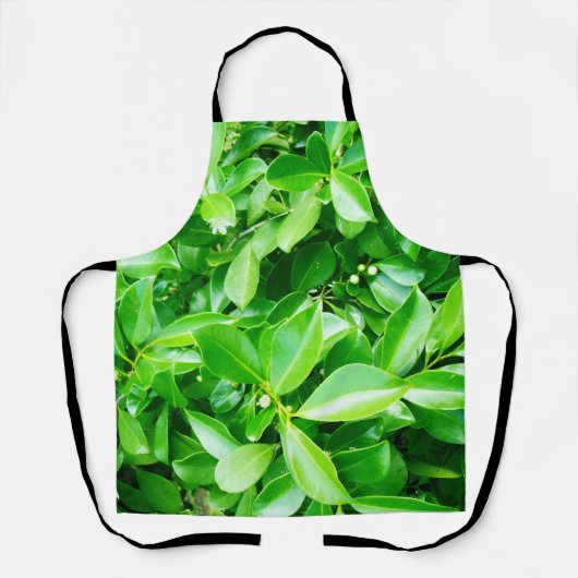 Arbre en caoutchouc vert Feuilles, tablier d'impre (Recto)