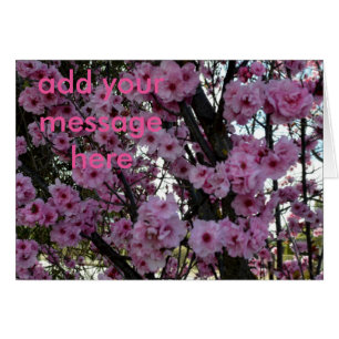 Arbre en fleurs rose,