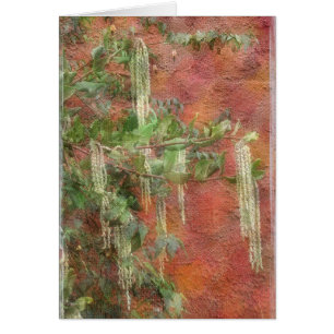 Arbre en soie de gland - carte