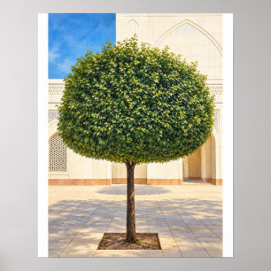 Arbre en topiaire arrondi Impression d'art 16x20 n