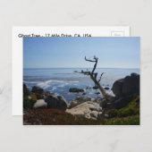 Arbre fantôme - Carte postale de lecteur de 17 mil (Devant / Derrière)