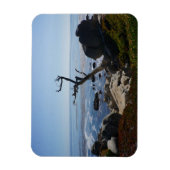 Arbre fantôme - Magnet photo de lecteur Pittoresqu (Vertical)