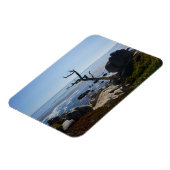 Arbre fantôme - Magnet photo de lecteur Pittoresqu (Côté Gauche)