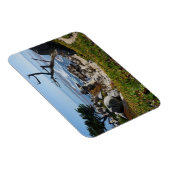 Arbre fantôme - Magnet Pittoresque de 17 miles du (Côté Droit)