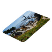 Arbre fantôme - Magnet Pittoresque de 17 miles du (Côté Gauche)