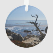 Arbre fantôme - Ornement de lecteur Pittoresque de (dos)