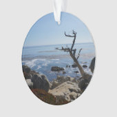 Arbre fantôme - Ornement de lecteur Pittoresque de (devant)