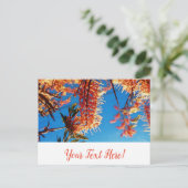 Arbre Fleurs Jaune Orange Ciel Carte Postale (Debout devant)