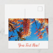 Arbre Fleurs Jaune Orange Ciel Carte Postale (Devant / Derrière)