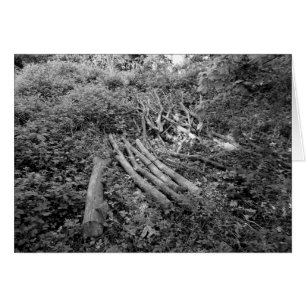 Arbre haché vers le haut