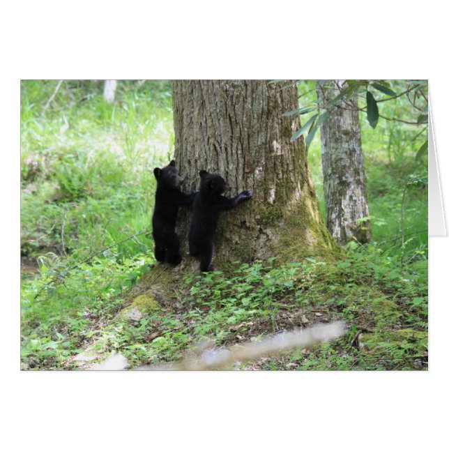 Arbre Huggers (Devant horizontal)