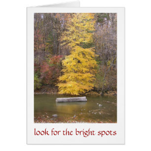 "ARBRE JAUNE CLAIR LE LONG DE LA RIVIÈRE"