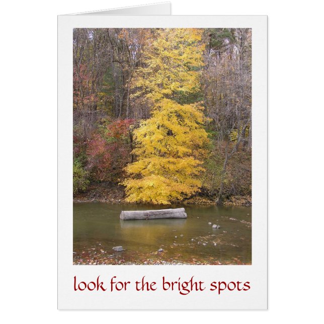 "ARBRE JAUNE CLAIR LE LONG DE LA RIVIÈRE" (Devant)