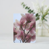 Arbre Magnolia en fleurs Carte postale (Debout devant)