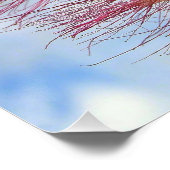 Arbre mimosa avec fleurs roses Affiche brillante (Coin)