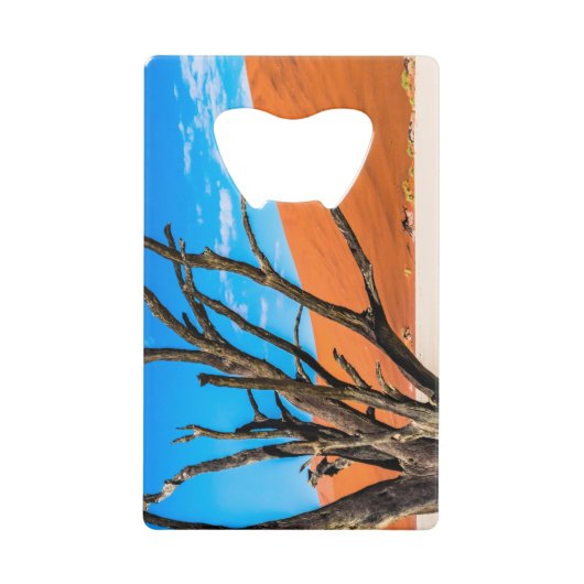 Arbre mort à Deadvlei, Namibie (Devant)