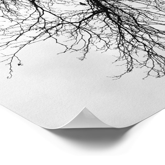 Arbre Noir et blanc Poster (Hoek)