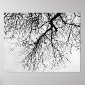 Arbre Noir et blanc Poster (Voorkant)