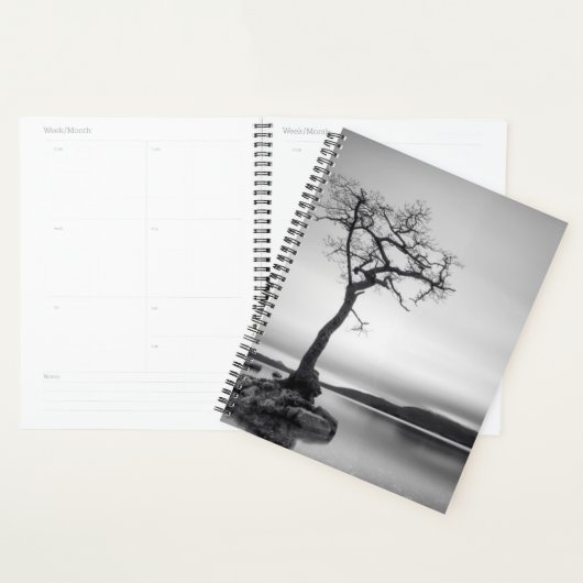 Arbre nu solitaire (Devant avec enveloppe)