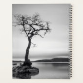 Arbre nu solitaire (Dos)