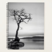 Arbre nu solitaire (Devant)