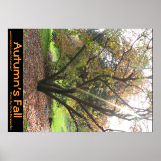 Arbre Rayon d'automne Poster d'automne