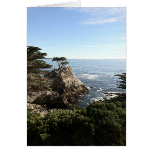 Arbre solitaire