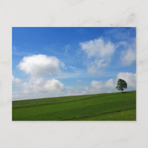 Arbre solitaire - Carte postale