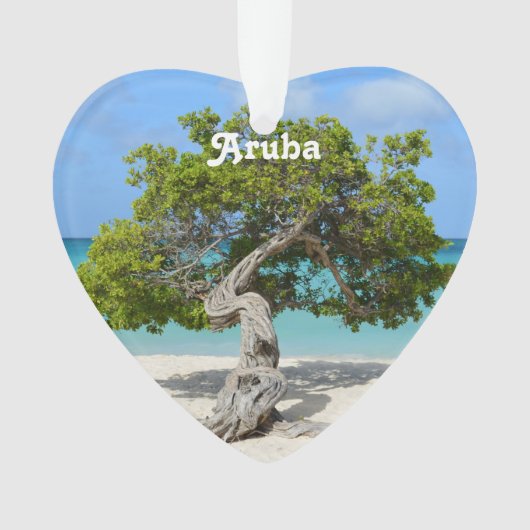 Arbre solo de Divi Divi dans Aruba (devant)