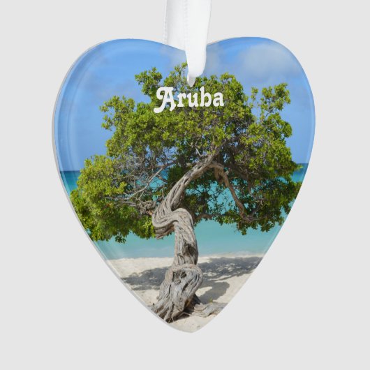 Arbre solo de Divi Divi dans Aruba (devant)