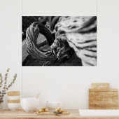 Arbre Spiral B&W Photographie - Poster (Cuisine)