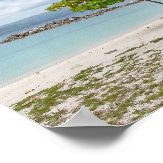 ARBRE SUR LA PLAGE EN JAMAICA POSTER (Coin)
