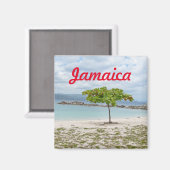 ARBRE SUR LA PLAGE LAVÉE À JAMAICA MAGNET (Recto/Verso)